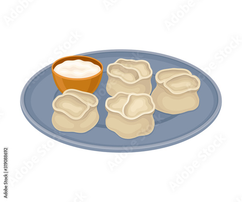 Semi-product Dumplings Served on Ceramic Plate with Cream Sauce Side View Vector Illustration
