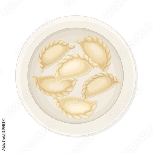 Cooked Dumplings Served on Ceramic Plate Top View Vector Illustration