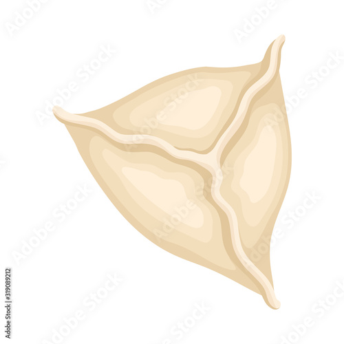 Semi Product Dumplings Isolated on White Background Vector Food Item