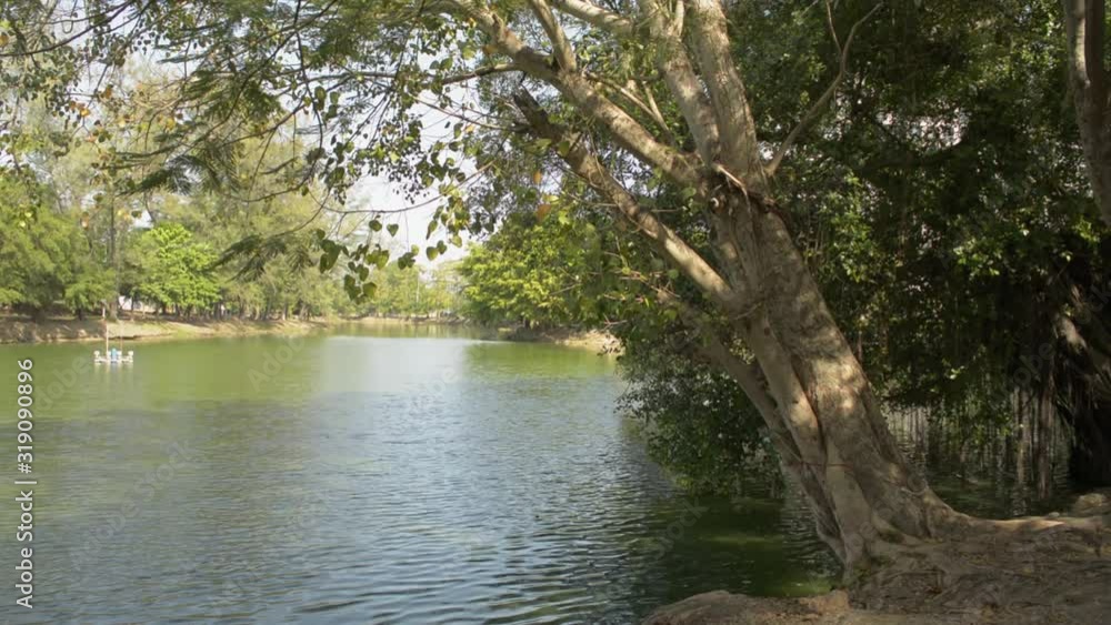 Scenery of natural pool with big trees in public park during summer in thailand Scenery of natural pool with big trees in public park during summer in thailand