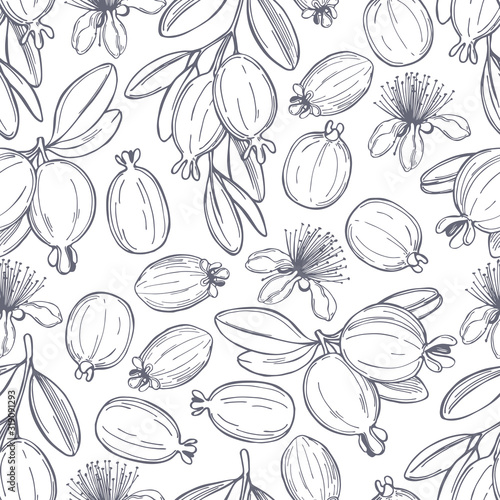  Hand drawn feijoa plant.  Feijoa fruits with leaves. Vector seamless pattern.