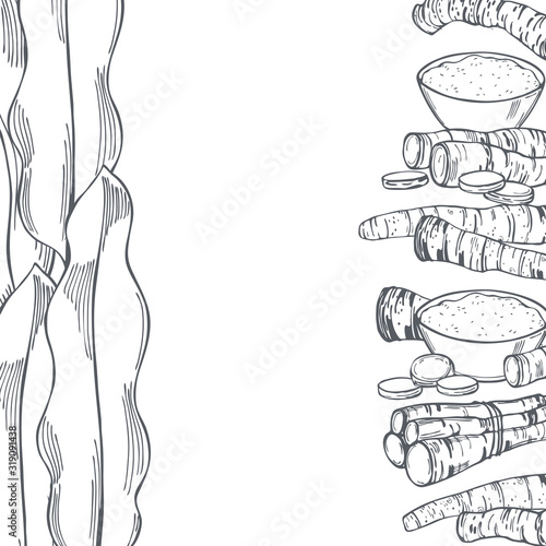 Hand drawn horseradish, root and leaves. Vector background. Sketch illustration.
