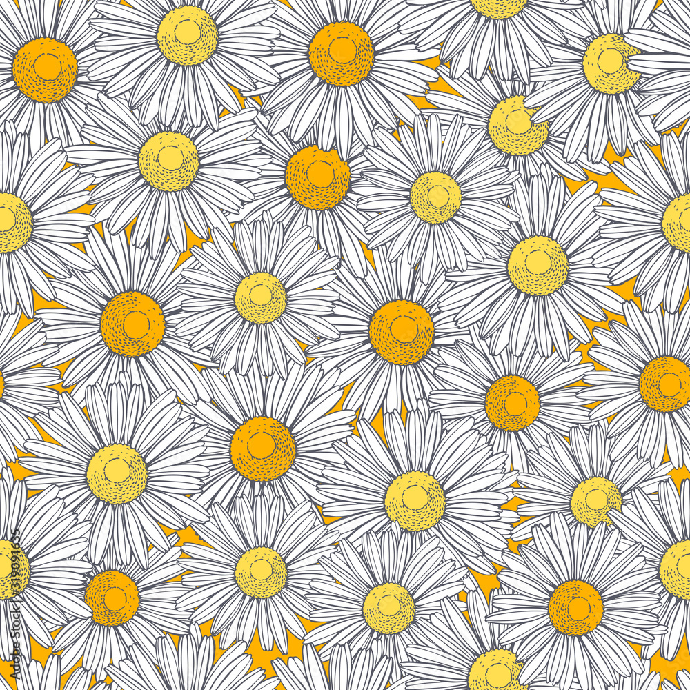 Hand drawn chamomile flowers. Vector  seamless pattern