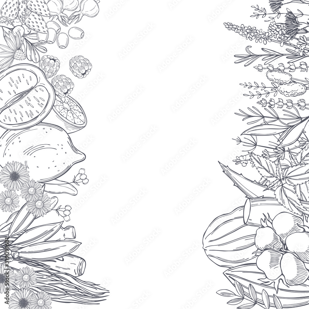 Organic cosmetics background. Plants for medicine and natural cosmetics. Vector sketch illustration. Organic cosmetics background. Plants for medicine and natural cosmetics. Vector sketch illustration.