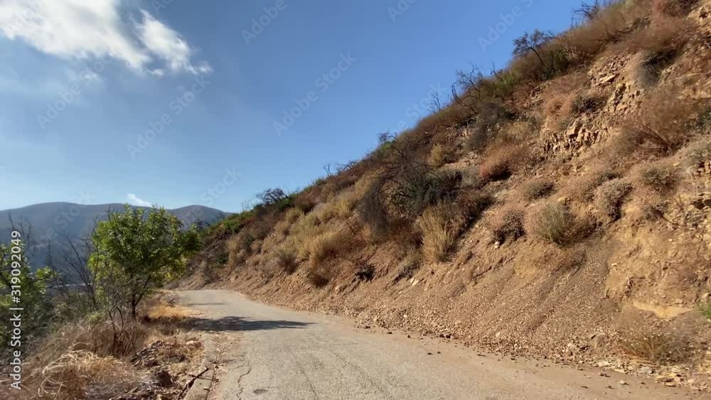 Driving a car on a narrow road in the canyon Malibu. Visible burned bushes and trees after the fire. Warm sunny day in Malibu California USA. Driving a car on a narrow road in the canyon Malibu. Visible burned bushes and trees after the fire. Warm sunny day in Malibu California USA.