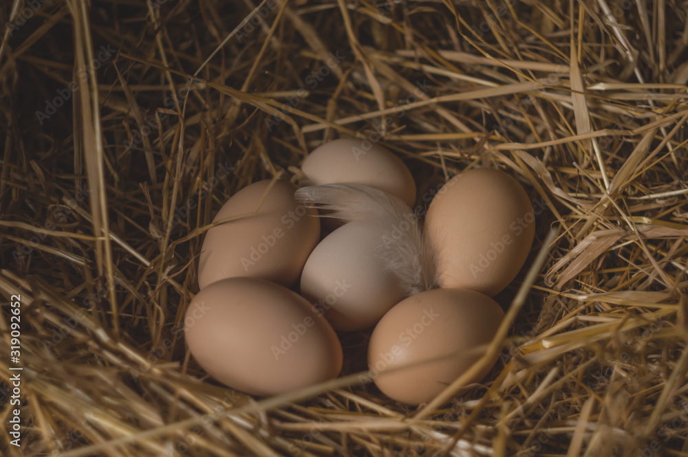 Organic chicken eggs in the hay. Farm concept. Organic chicken eggs in the hay. Farm concept.