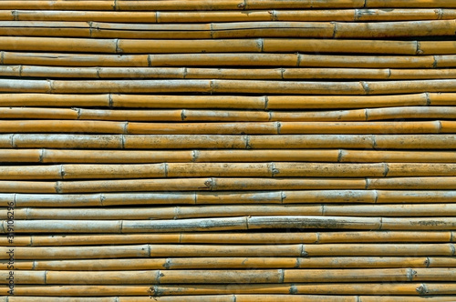Fototapeta Full Frame Shot Of Bamboos