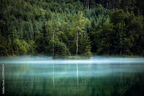 Misty nature landscape. Gre...