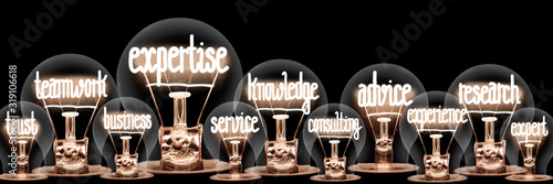 Light Bulbs with Expertise Concept photo