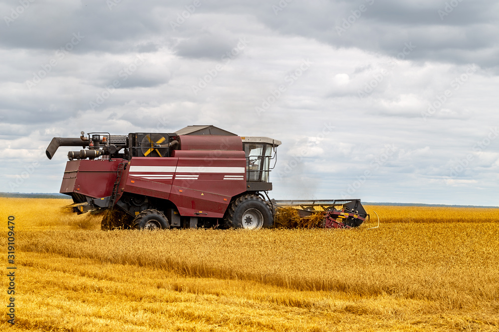 Combine harvester working on a wheat field. Seasonal harvesting the wheat. Agriculture. Combine harvester working on a wheat field. Seasonal harvesting the wheat. Agriculture.