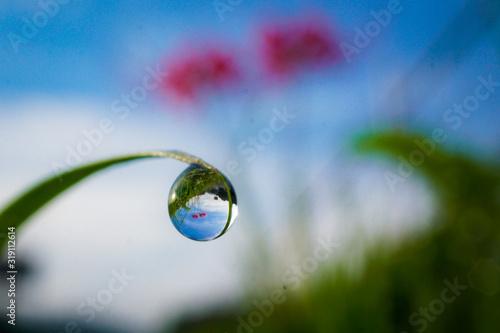 drop of water on leaf © AKIRA
