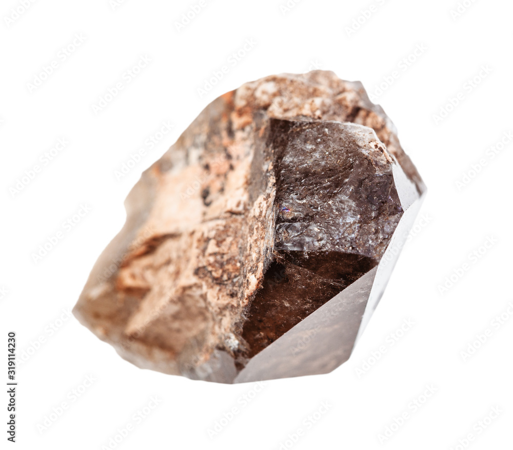 unpolished crystal of smoky quartz morion isolated