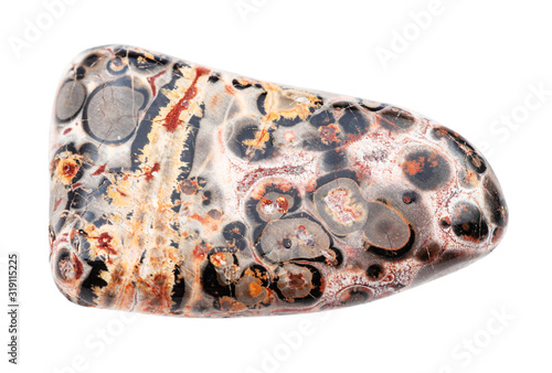 Fotografía polished Leopard skin jasper gem stone isolated
