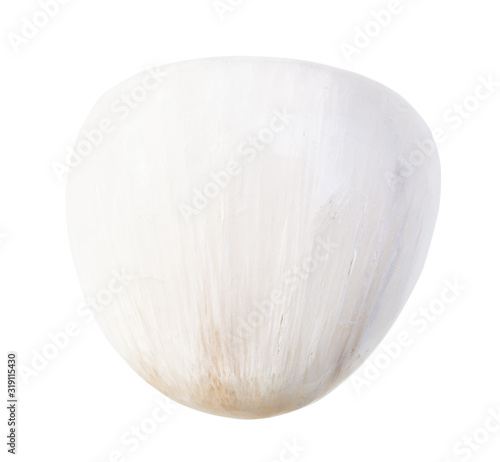 polished Scolecite rock isolated on white photo