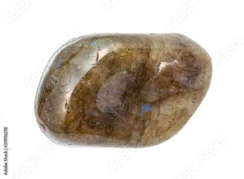polished Labradorite gemstone isolated on white