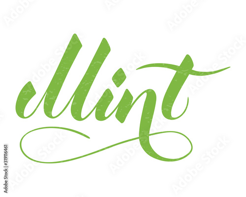 Vector hand written mint text isolated on white background. Kitchen healthy herbs and spices for cooking. Script brushpen lettering with flourishes. Handwriting for banner, poster, product label