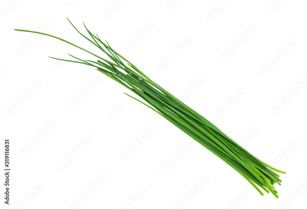 Fototapeta premium several fresh leaves of Chives isolated on white