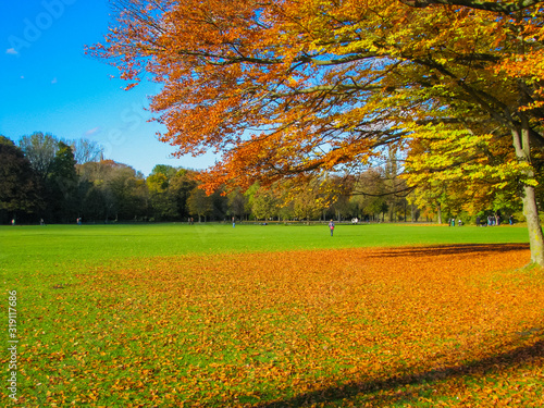 Central Park in fall in Munchen  Germany