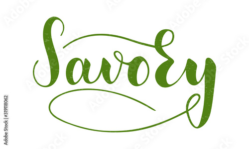 Vector hand written savory text isolated on white background. Kitchen healthy herbs and spices for cooking. Script brushpen lettering with flourishes. Handwriting for banner, poster, product label