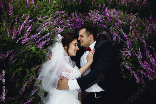 happy bride and groom lie on the grass and hug and kiss,top view of a young couple lying in spring flowers of lipins and lavender,spring wedding in a field with lipin and lavender flowers  photo