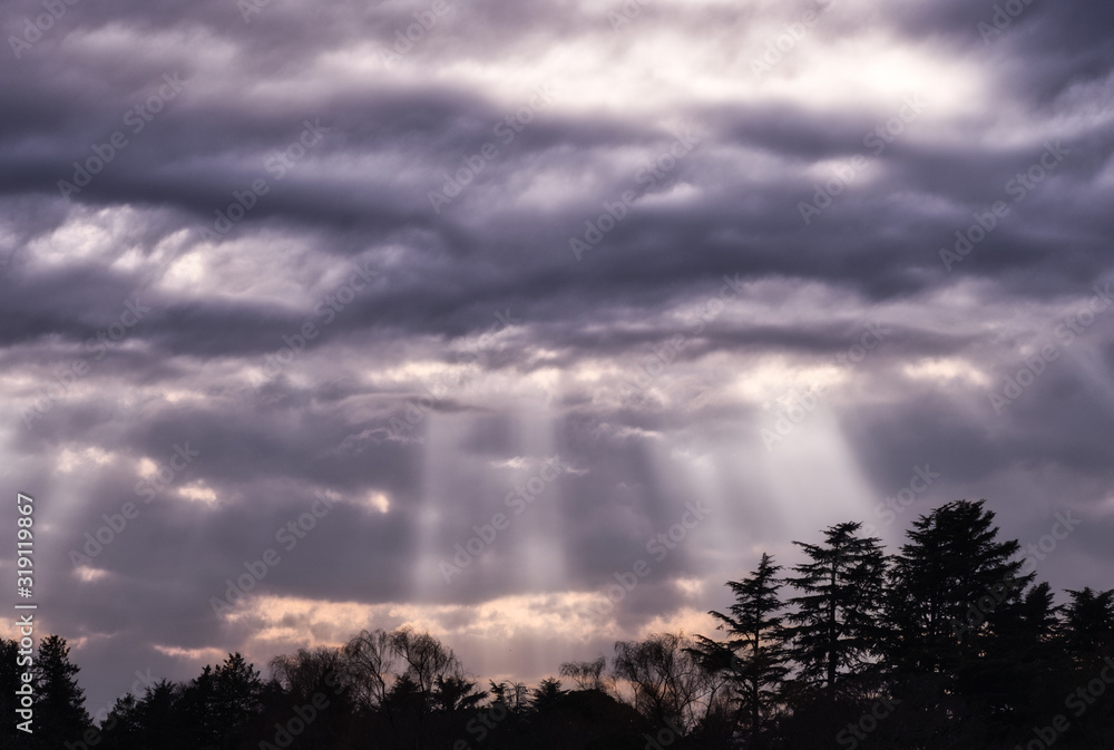 天使の梯子と木々(1)