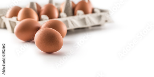 Fresh chicken eggs in pater tray isolated on white background photo