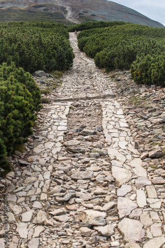 Stone path in the Krkonose/ Giant Mountains national park, Czech republic/Poland borders
