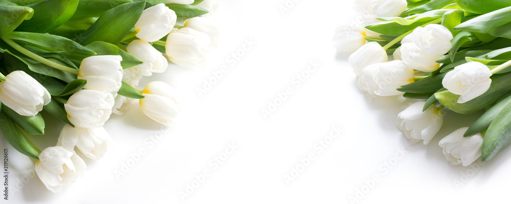 Fototapeta premium Bukiet białych tulipanów na białym tle. Ścieśniać.