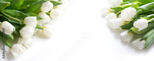 Bouquet of white tulip isolated on white background. Close up.