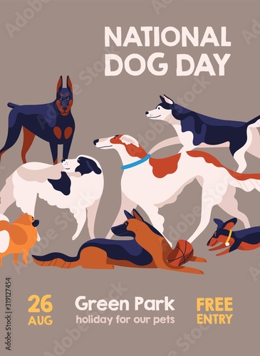 Happy National Dog Day 26 august poster vector flat illustration. Different breed of cartoon dogs show isolated on gray background. Holiday of domestic animal competition collection