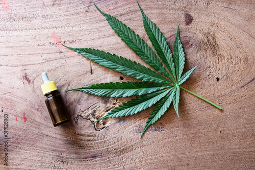 green cannabis leaves on wooden table background. Growing medical marijuana.