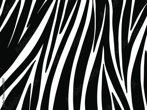 zebra pattern. vector Animals background