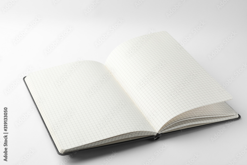 Stylish open notebook with blank sheets isolated on white Stylish open notebook with blank sheets isolated on white