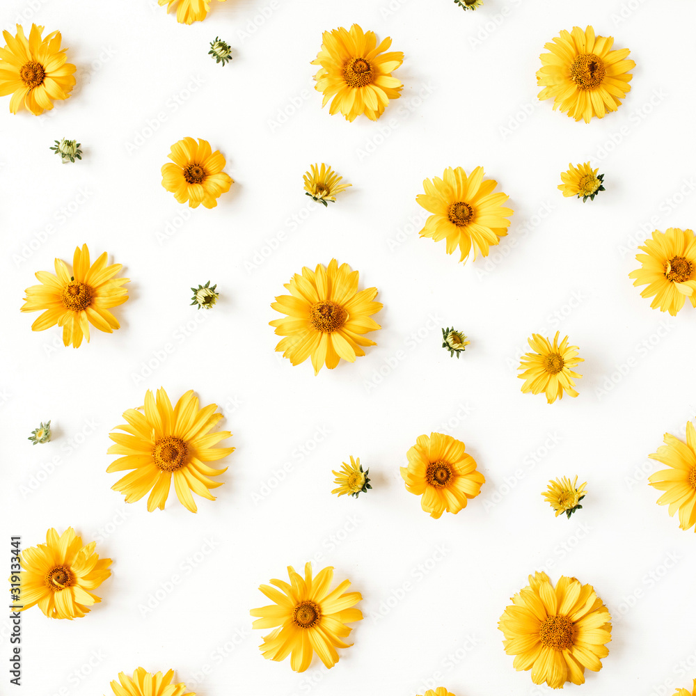 Flat lay yellow daisy flower buds pattern on white background. Top view floral texture. Flat lay yellow daisy flower buds pattern on white background. Top view floral texture.