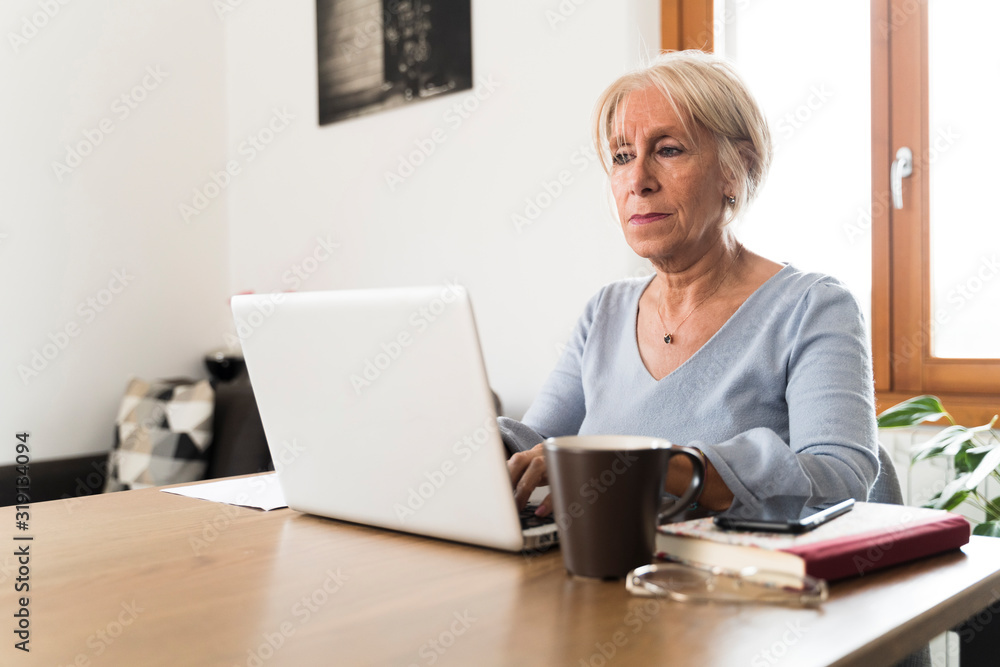 serious adult woman working on the laptop serious adult woman working on the laptop