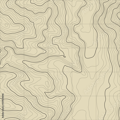 The stylized height of the topographic contour in lines and contours. The concept of a conditional geography scheme and the terrain path. Vector illustration. © Theus