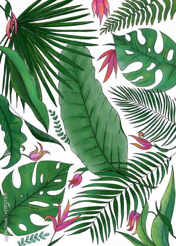 Tropical leaves