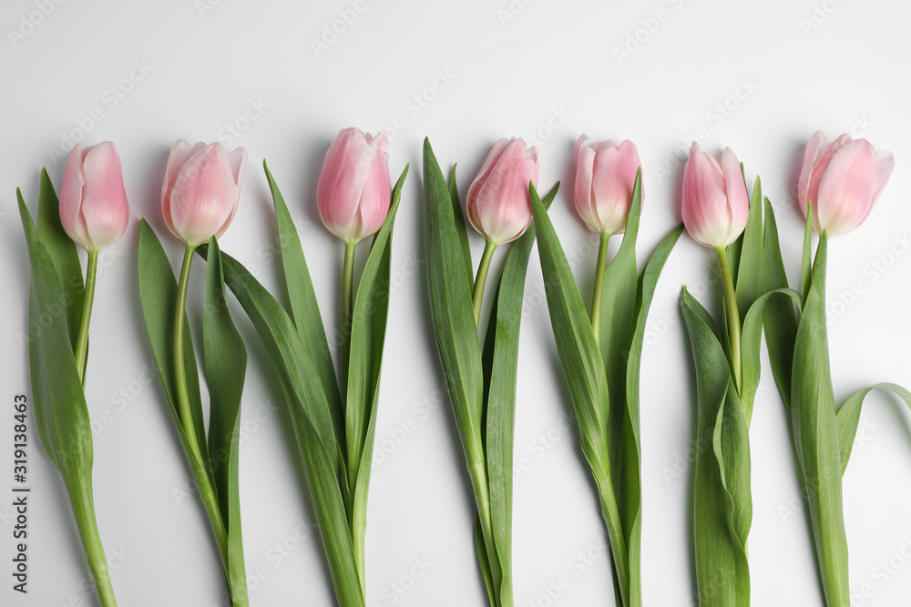 Beautiful pink spring tulips on white background, top view