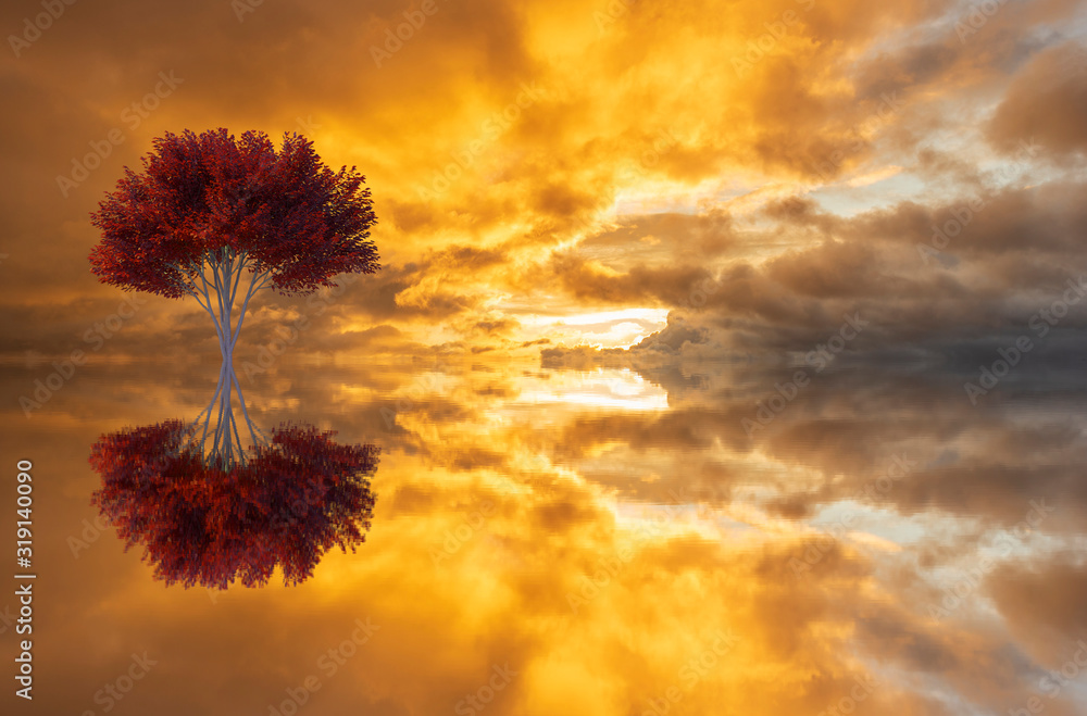 A tree and its reflection in the lake at dawn