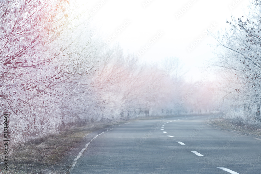 Empty road between trees covered with hoarfrost at rural site in early winter morning