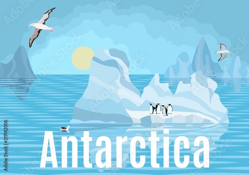 Antarctica penguins and albatrosses on icebergs