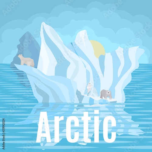 Arctic polar bears in the snow on icebergs near