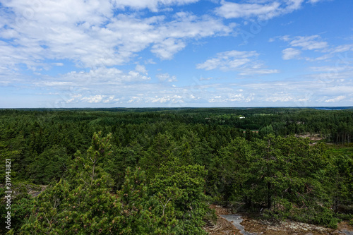 Landscape with trees and blue sky