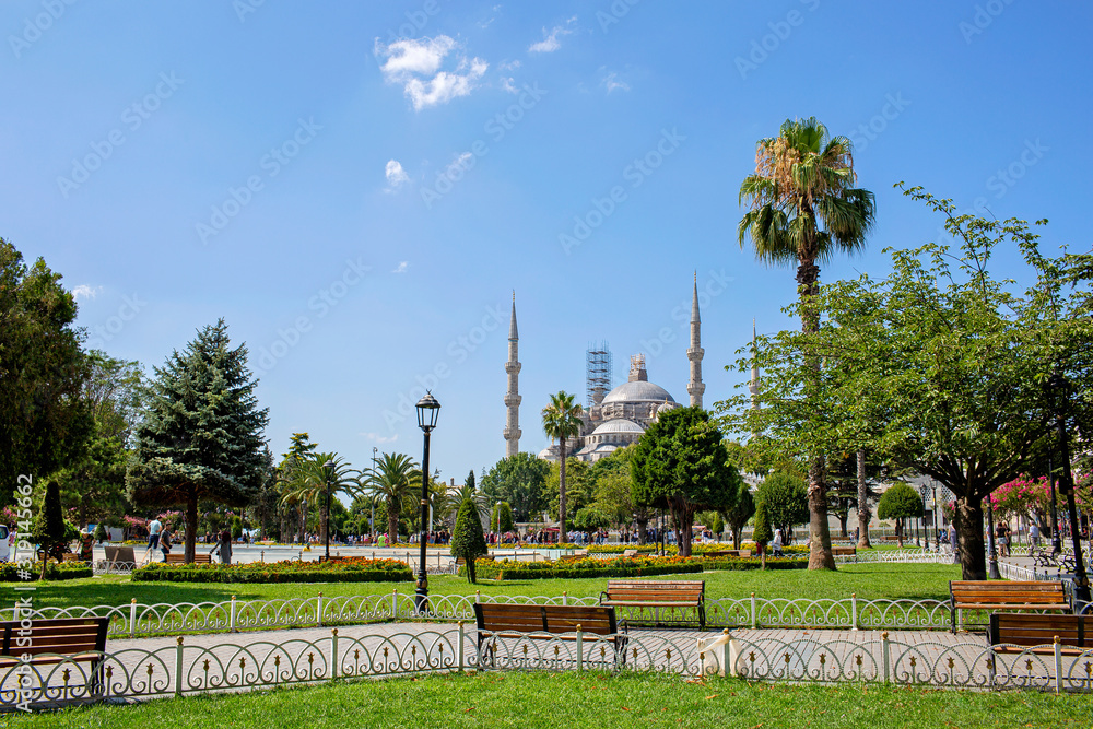 Obraz premium Sultan Ahmed Mosque (Blue Mosque) in Istanbul with lawn