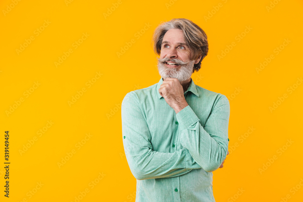 Bearded man in blue shirt posing isolated