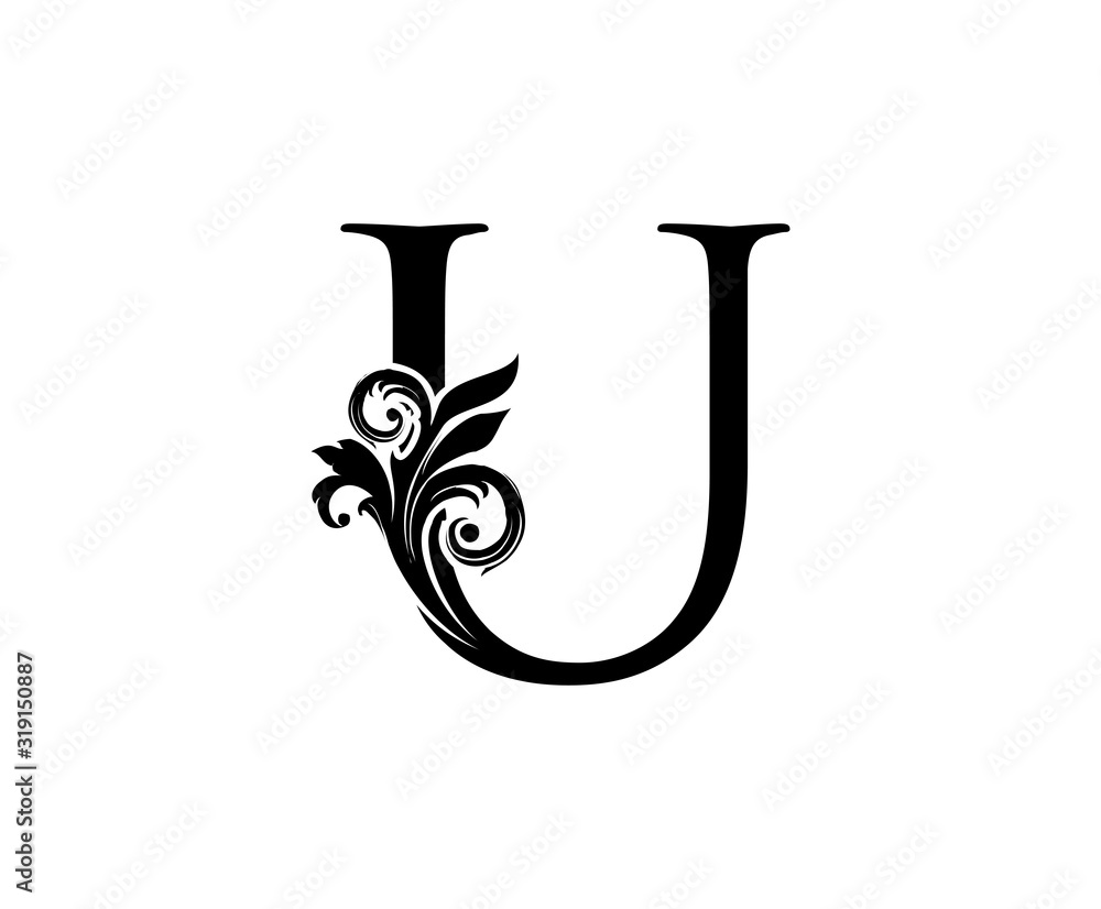 Elegant U Letter Swirl Logo. Black U With Classy Leaves Shape design perfect for fashion, Jewelry, Beauty Salon, Cosmetics, Spa, Hotel and Restaurant Logo. Elegant U Letter Swirl Logo. Black U With Classy Leaves Shape design perfect for fashion, Jewelry, Beauty Salon, Cosmetics, Spa, Hotel and Restaurant Logo.
