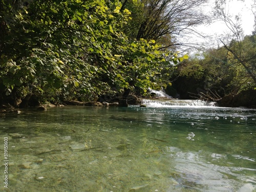 river in the forest