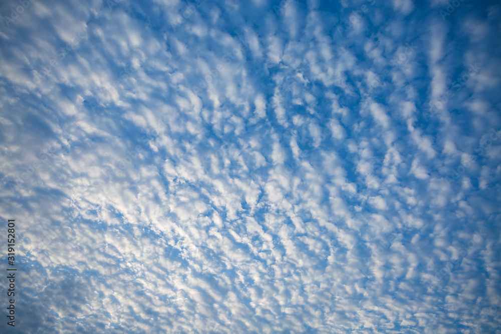 早朝の鱗雲