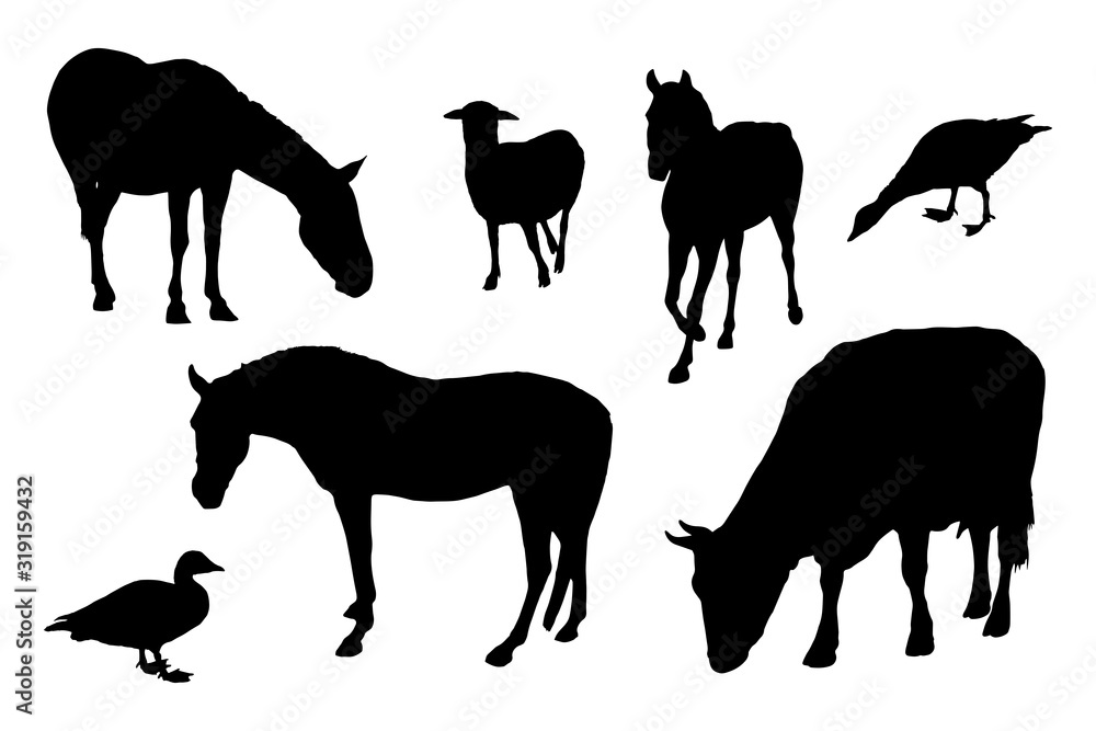 Fototapeta premium Farm animals silhouettes set on white background