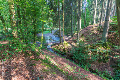 Der Eifgenbach im Naturschutzgebiet Eifgenbachtal photo